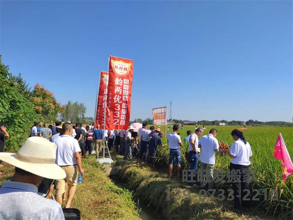 新興隆，新氣象，新未來——記興隆湖南韻兩優(yōu)332省級觀摩會在常德漢壽圓滿召開