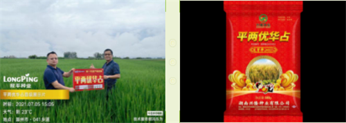 湖南興隆種業(yè)有限公司,長(zhǎng)沙稻谷種植與銷(xiāo)售,長(zhǎng)沙農(nóng)作物品種的選育,長(zhǎng)沙農(nóng)業(yè)病蟲(chóng)害防治服務(wù)