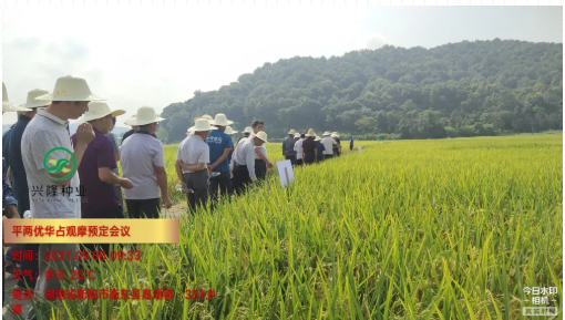 湖南興隆種業(yè)有限公司,長沙稻谷種植與銷售,長沙農(nóng)作物品種的選育,長沙農(nóng)業(yè)病蟲害防治服務(wù)