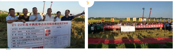 湖南興隆種業(yè)有限公司,長沙稻谷種植與銷售,長沙農(nóng)作物品種的選育,長沙農(nóng)業(yè)病蟲害防治服務(wù)