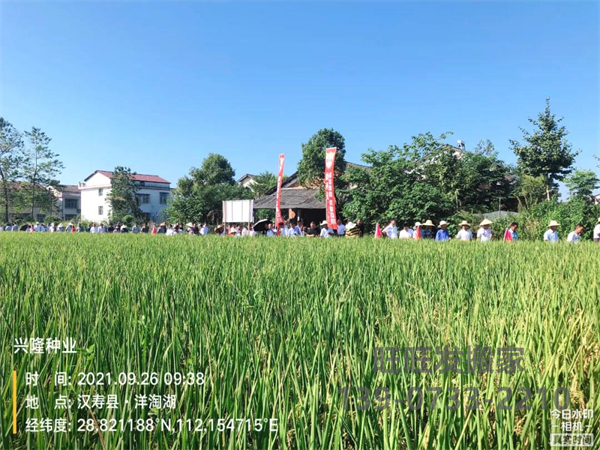 湖南興隆種業(yè)有限公司,長沙稻谷種植與銷售,長沙農(nóng)作物品種的選育,長沙農(nóng)業(yè)病蟲害防治服務