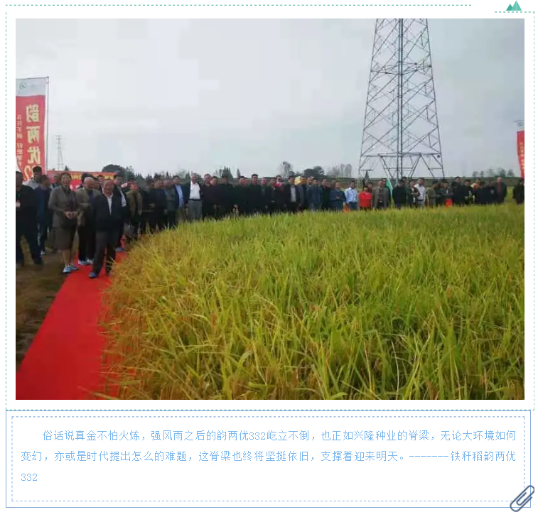 湖南逸華電源有限公司_直流屏定制廠家_UPS免維護鉛酸蓄電池供應_電力模塊廠商