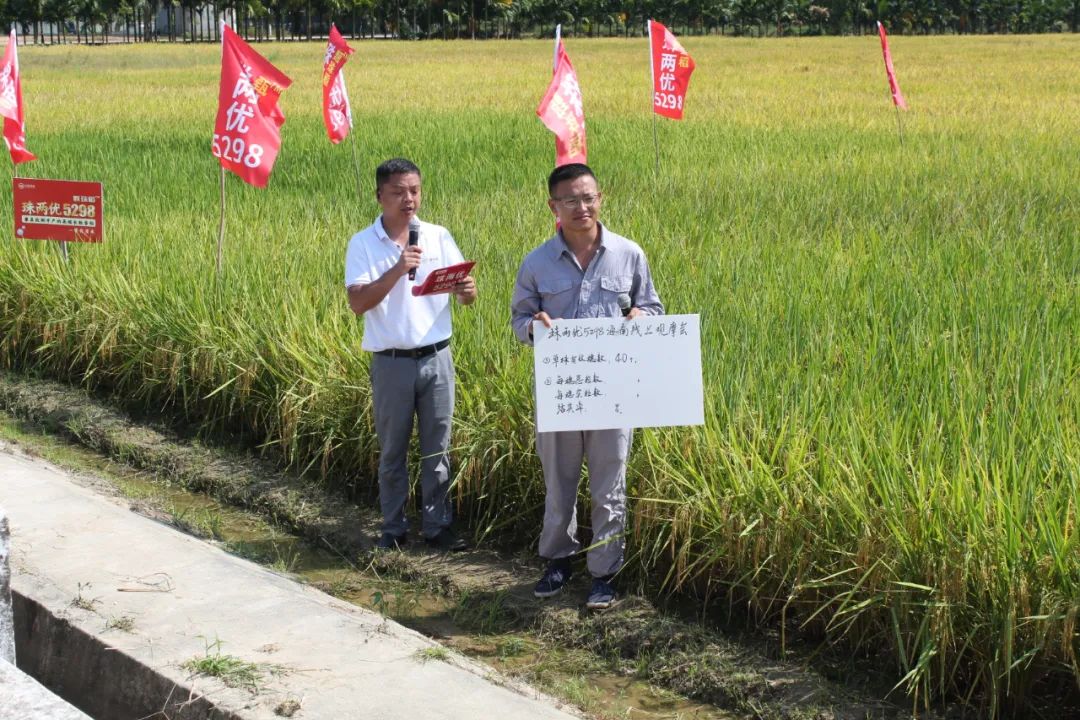 湖南興隆種業(yè)有限公司,長沙稻谷種植與銷售,長沙農(nóng)作物品種的選育,長沙農(nóng)業(yè)病蟲害防治服務