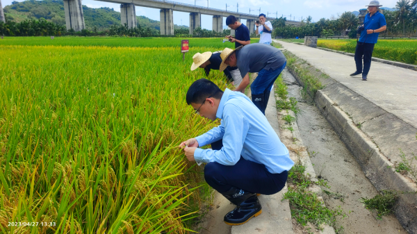 湖南興隆種業有限公司,長沙稻谷種植與銷售,長沙農作物品種的選育,長沙農業病蟲害防治服務
