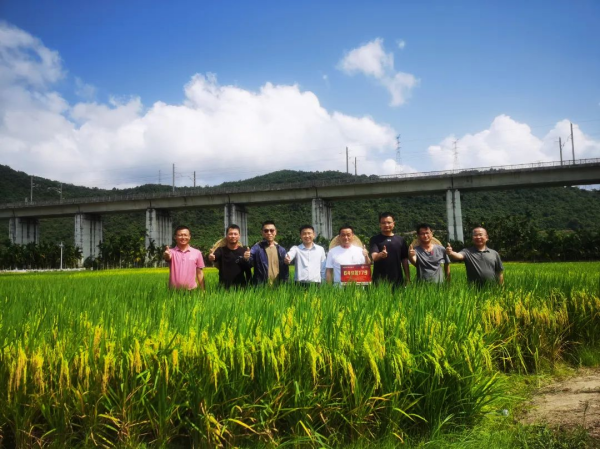 湖南興隆種業有限公司,長沙稻谷種植與銷售,長沙農作物品種的選育,長沙農業病蟲害防治服務