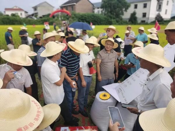 湖南興隆種業有限公司,長沙稻谷種植與銷售,長沙農作物品種的選育,長沙農業病蟲害防治服務 湖南興隆種業有限公司,長沙稻谷種植與銷售,長沙農作物品種的選育,長沙農業病蟲害防治服務