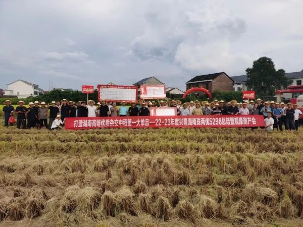 湖南興隆種業有限公司,長沙稻谷種植與銷售,長沙農作物品種的選育,長沙農業病蟲害防治服務 湖南興隆種業有限公司,長沙稻谷種植與銷售,長沙農作物品種的選育,長沙農業病蟲害防治服務