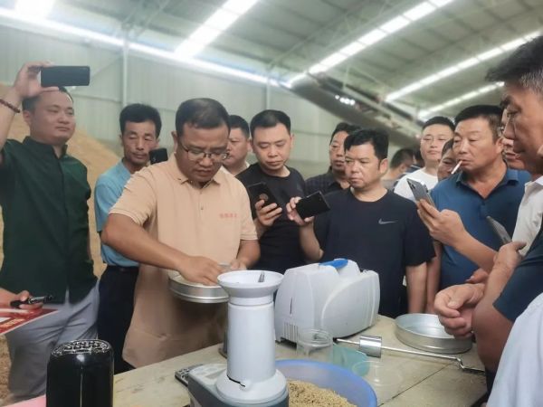 湖南興隆種業有限公司,長沙稻谷種植與銷售,長沙農作物品種的選育,長沙農業病蟲害防治服務 湖南興隆種業有限公司,長沙稻谷種植與銷售,長沙農作物品種的選育,長沙農業病蟲害防治服務