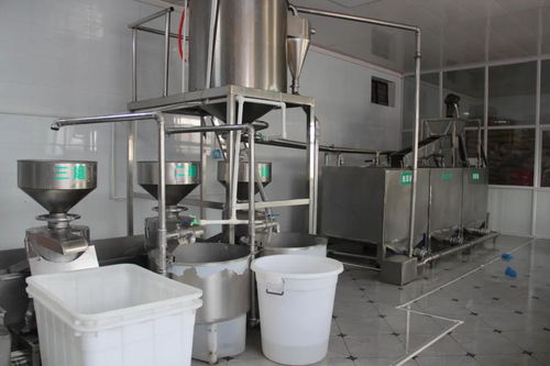 新密市 浮戲山 豆腐你吃過嗎 豆花香食品廠 新密食品行業(yè)的新星