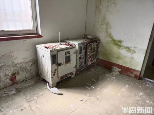 半島調(diào)查丨天花板坍塌 車間成廢墟 響當(dāng)當(dāng)?shù)睦献痔柧棺兂闪诉@樣 它還能再 香 嗎